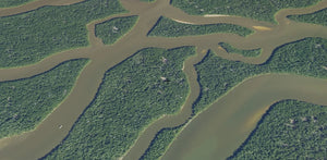 Aerial 3D satellite view of winding mangrove waterways, showcasing SpotOn Fishing's clean view without community fishing tracks and navigation routes.