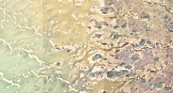 West Florida Aerial Imagery with Low Tide Mapping