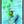 SpotOn Fishing Structure Map Florida Keys Marathon Hump 409 Hump on iPad